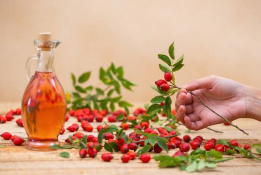 Rosehip Oil & Radiance Complex™ – Face Oils to Brighten and Heal your Skin