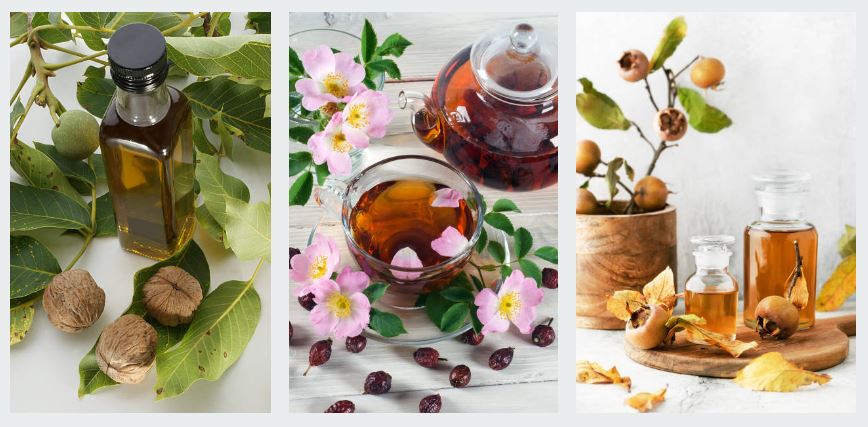 Argan vs Rosehip vs Jojoba: Which one wins the crown for your glow?